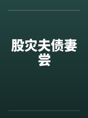 股灾夫债妻尝封面