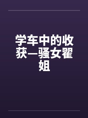学车中的收获—骚女翟姐by佚名笔趣阁无弹窗封面