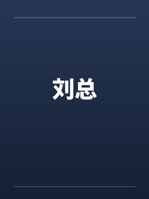 刘总by佚名封面