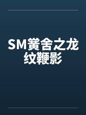 SM黉舍之龙纹鞭影封面