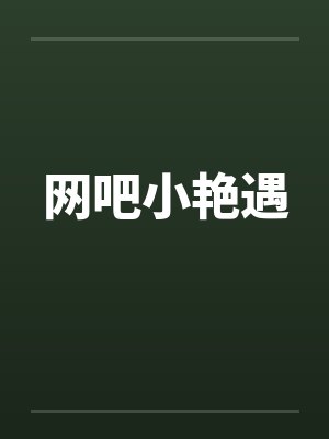 网吧小艳遇by佚名封面